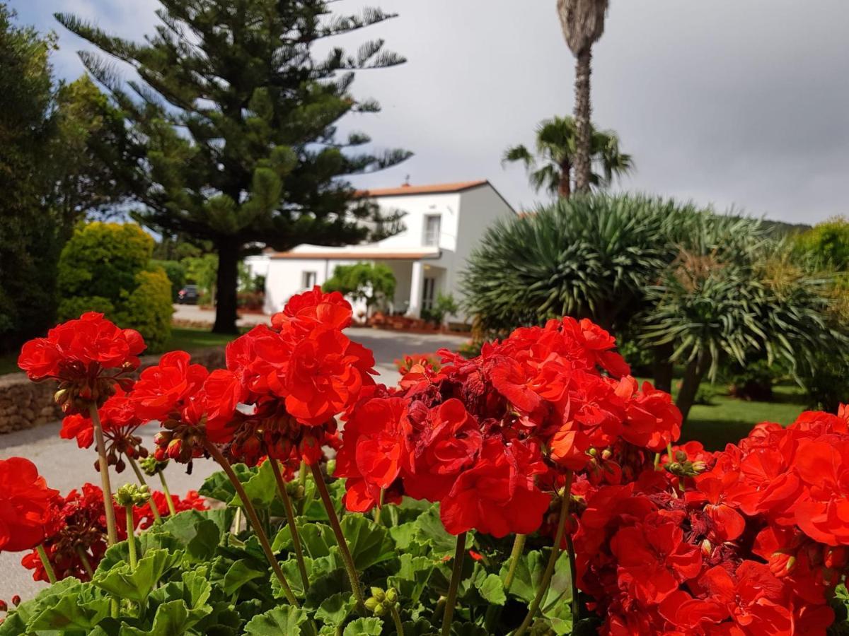 Arenosu Comfort Country 2* Fertilia