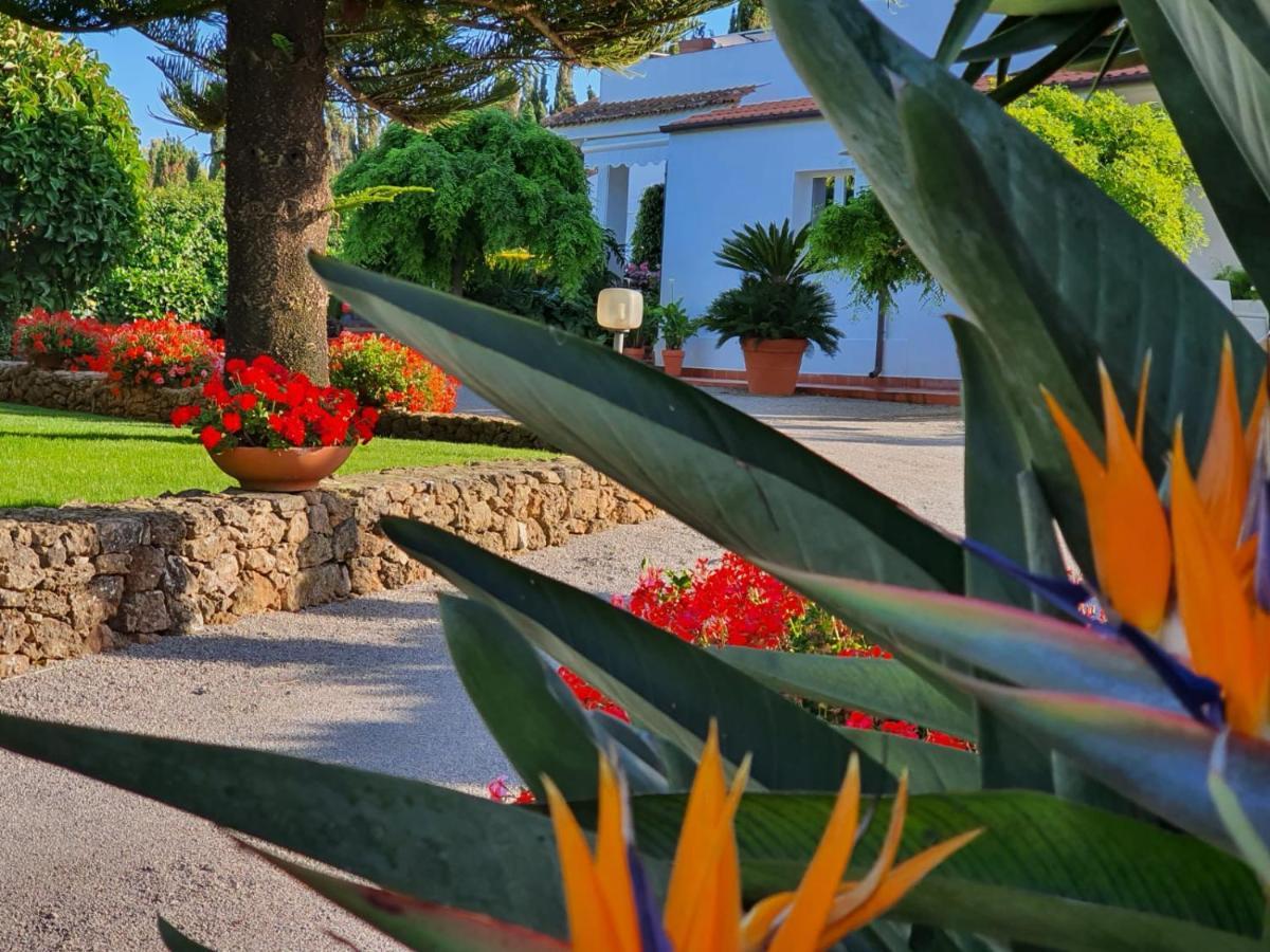 Arenosu A Pochi Km Dalle Spiagge Fertilia