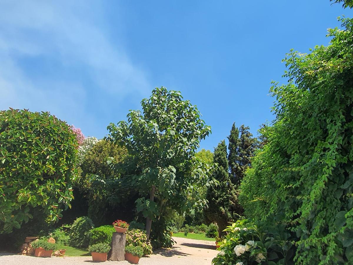 Maison d'hôtes Arenosu Comfort Country Fertilia