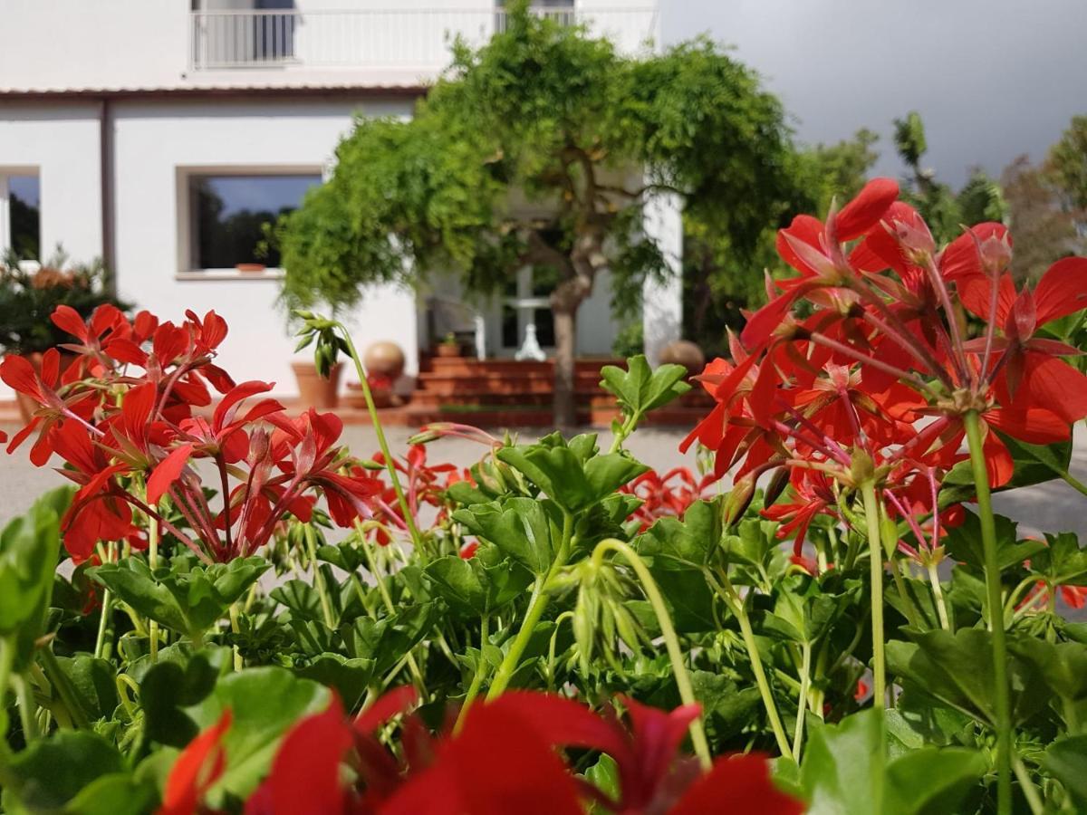 Arenosu Comfort Country