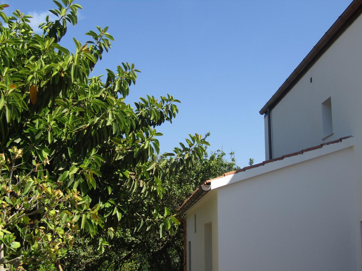Affittacamere Arenosu A Pochi Km Dalle Spiagge 2*