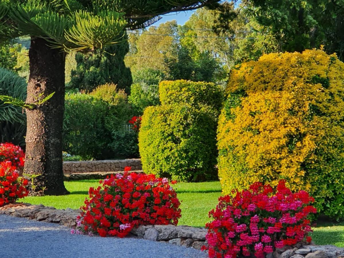 Gasthuis Arenosu Comfort Country 2*
